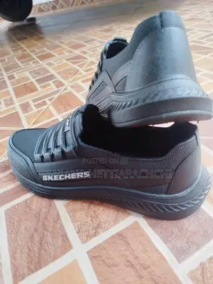Brand New Shoes (Skechers)