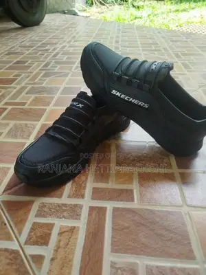 Brand New Shoes (Skechers)