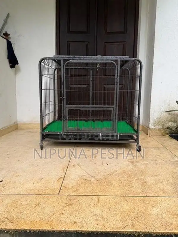 Dog Cage