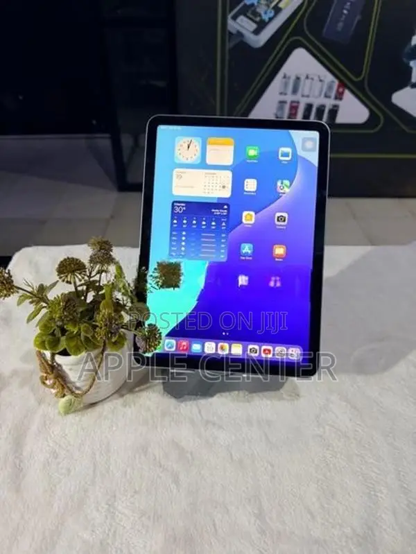 APPLE IPAD AIR