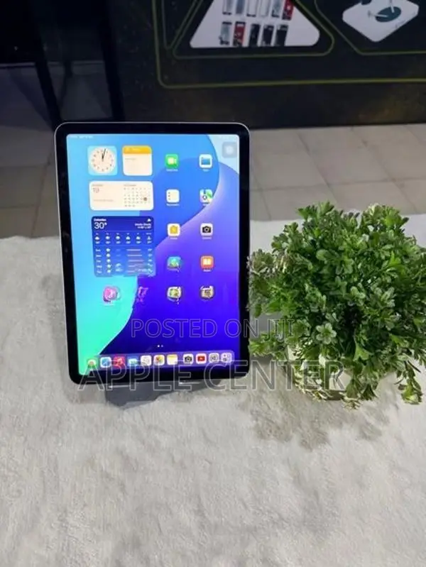 APPLE IPAD AIR