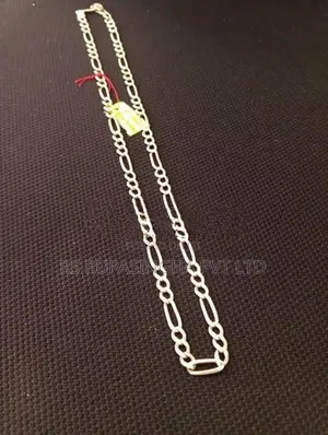 Silver Chain 25G 500MG