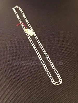 Silver Chain 25G 500MG
