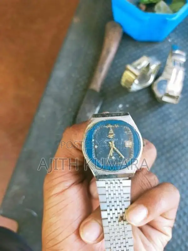 මොන්ඩියා මුහුදු අශ්වයා සලකුණ ඇති ඹරලොසුව