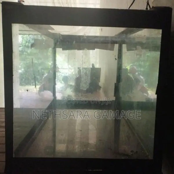 3-Foot (200 L) Fish Tank