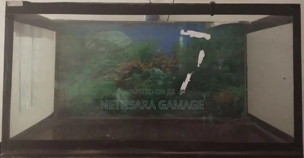3-Foot (200 L) Fish Tank