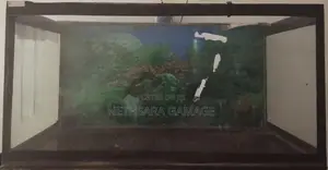 3-Foot (200 L) Fish Tank