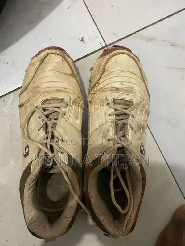 Cricket Bag With Bat Shoes