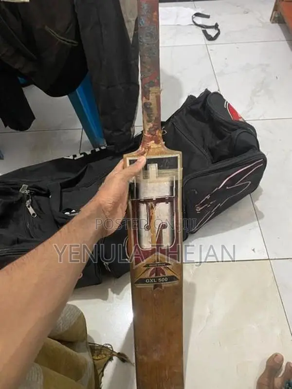 Cricket Bag With Bat Shoes