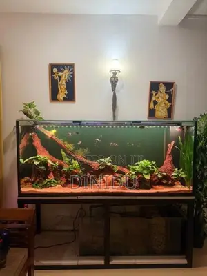 Planted Fish Tank with Accessories