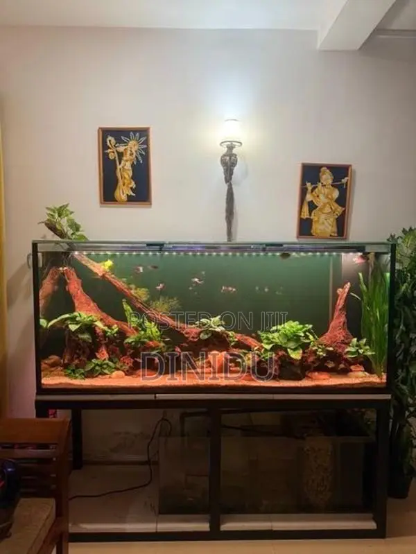 Planted Fish Tank with Accessories