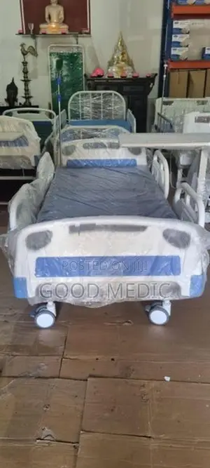Four Function Electric Hospital Bed