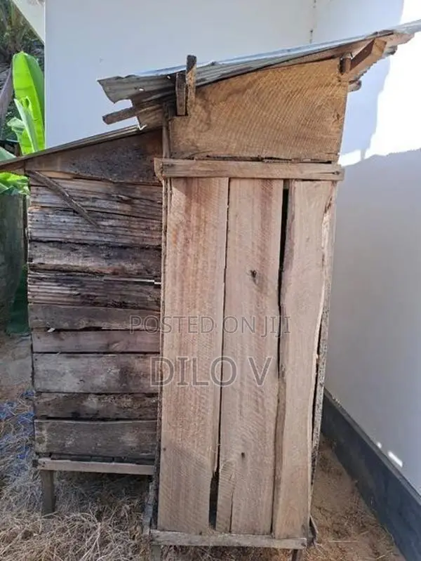 Pigeon Cage