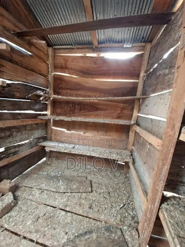 Pigeon Cage
