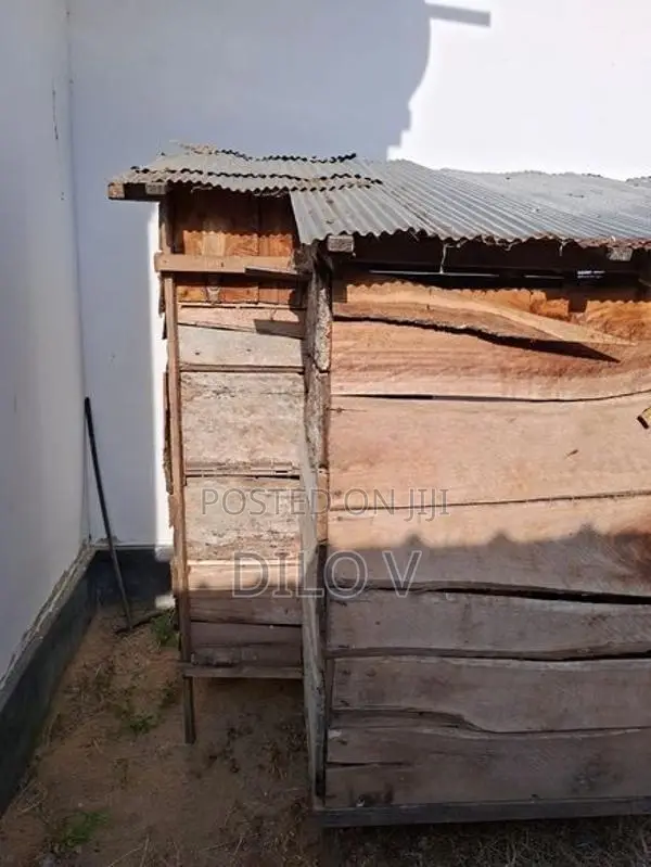 Pigeon Cage