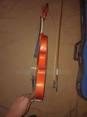 Violin