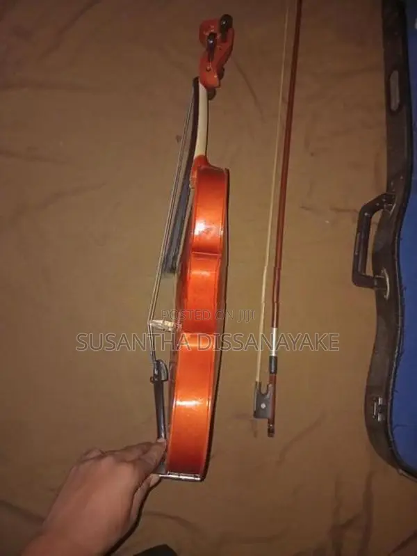 Violin