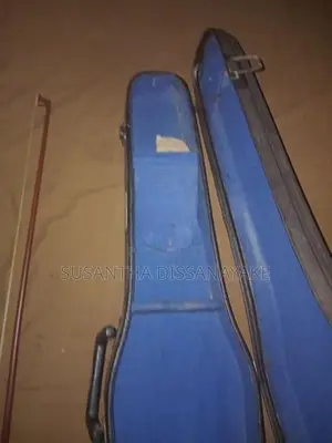 Violin