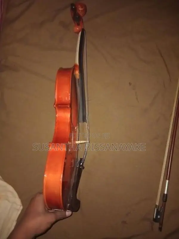 Violin