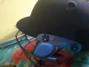 Cricket Helmet