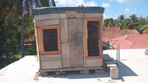 Pigeon Cage