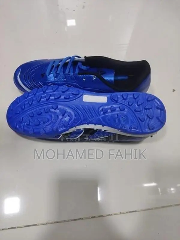Futsal Shoe ( Kids Size )