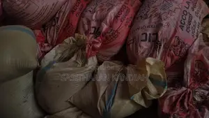 Raw Paddy