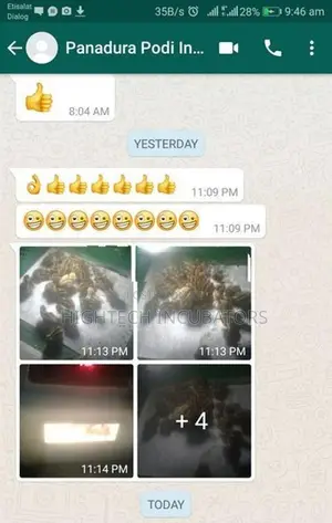 25 බිත්තර රක්කවන යන්ත්‍ර