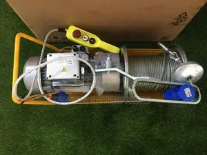 Hoist Machine(Linosella Brand-500kg)