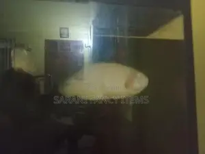 Oscar Fish