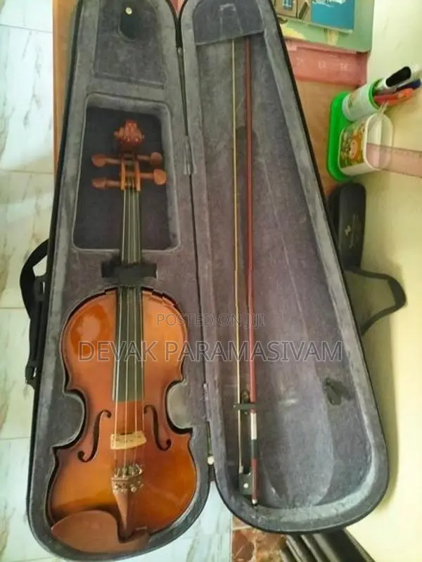 Violin