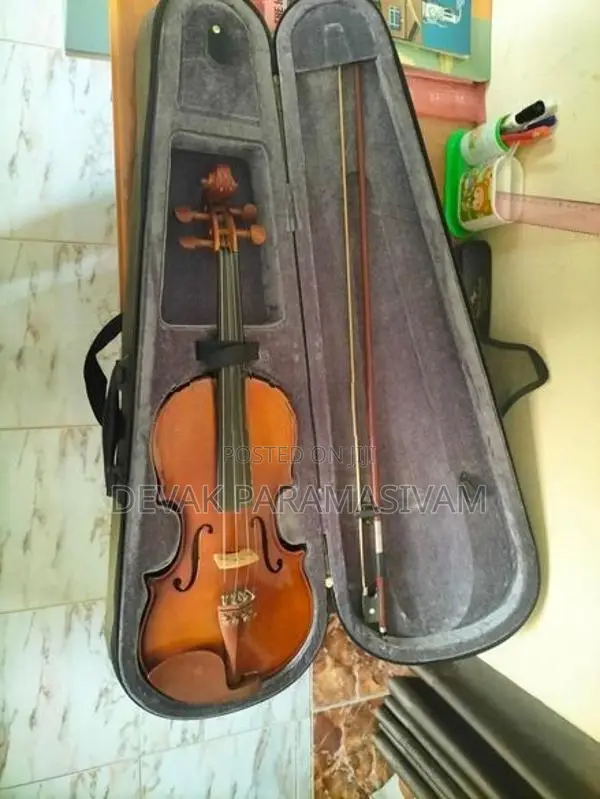 Violin