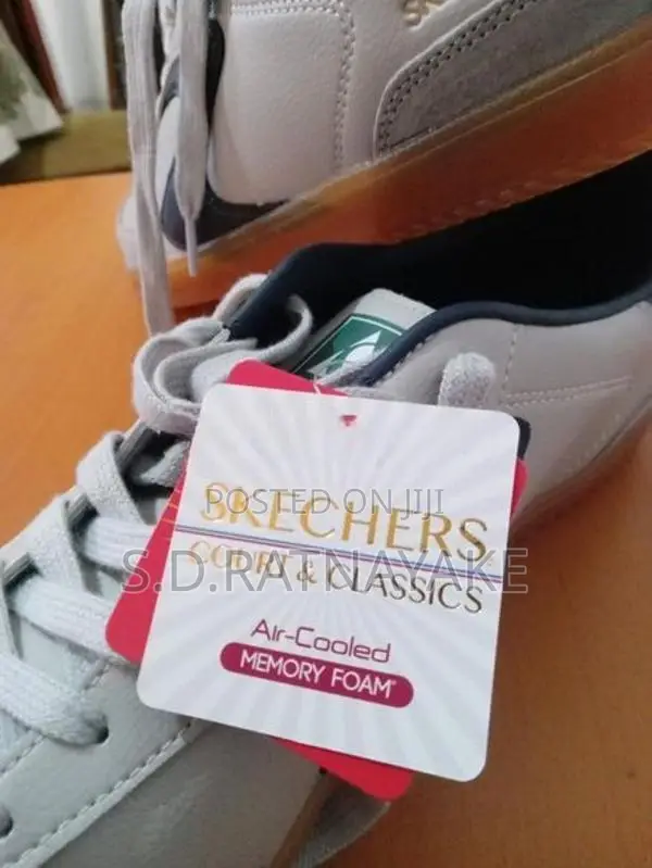 Sketchers Shoe