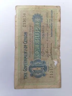 Old Notes