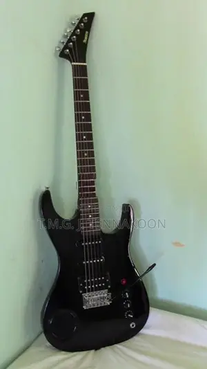 Guitar ( Maestro)