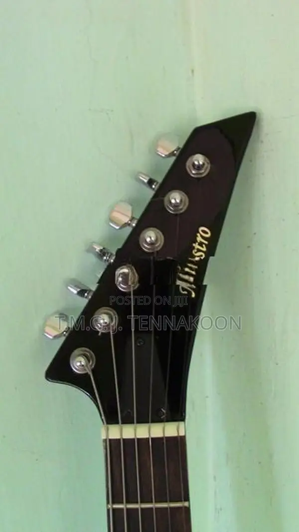 Guitar ( Maestro)