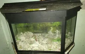 2 Feet Fish Tank With Stand