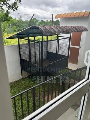 Doge Cage