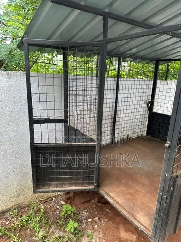 Doge Cage