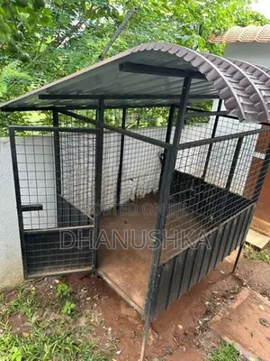 Doge Cage