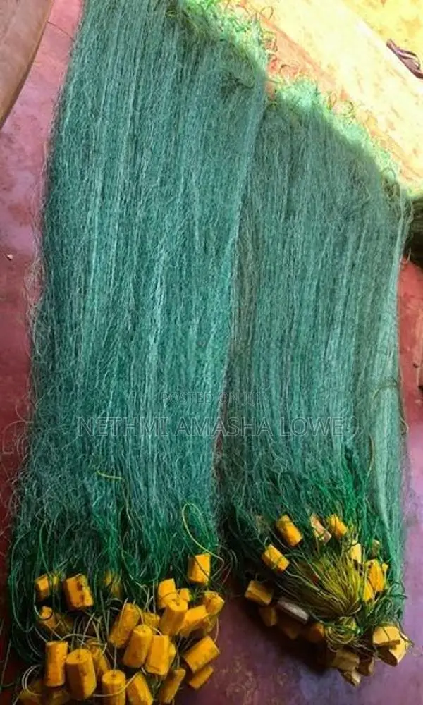 නයිලෝන් දැල්