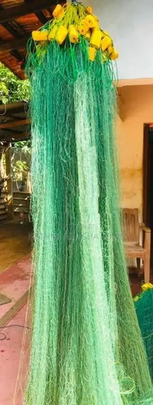 නයිලෝන් දැල්