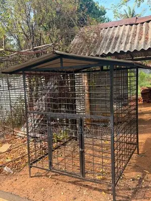 நாய் கூடு
