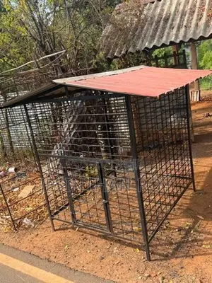 நாய் கூடு