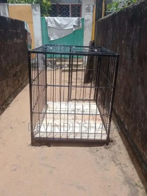 Indoor Dog Cage (බලු කූඩු )
