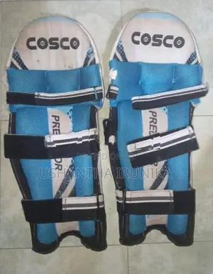 A Cricket Equipment Set