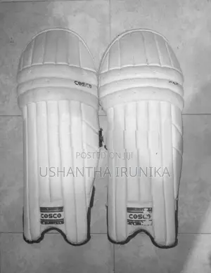 A Cricket Equipment Set