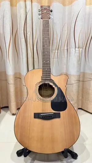 Yamaha Fs100C