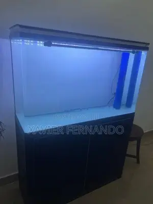 Fish Tank