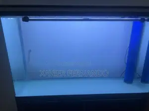 Fish Tank